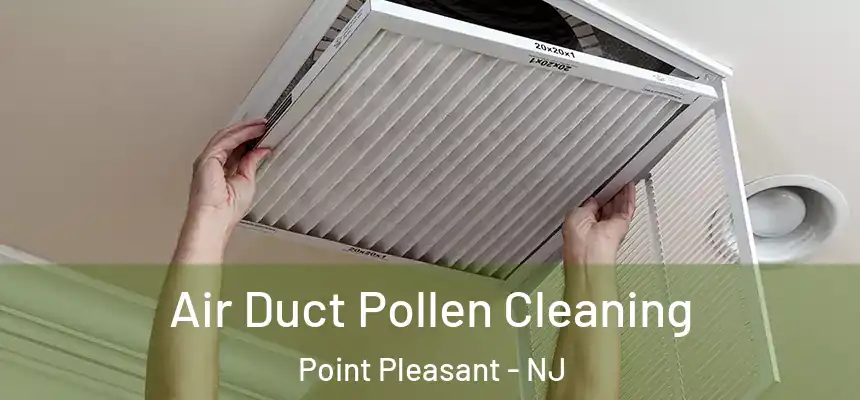  Air Duct Pollen Cleaning Point Pleasant - NJ