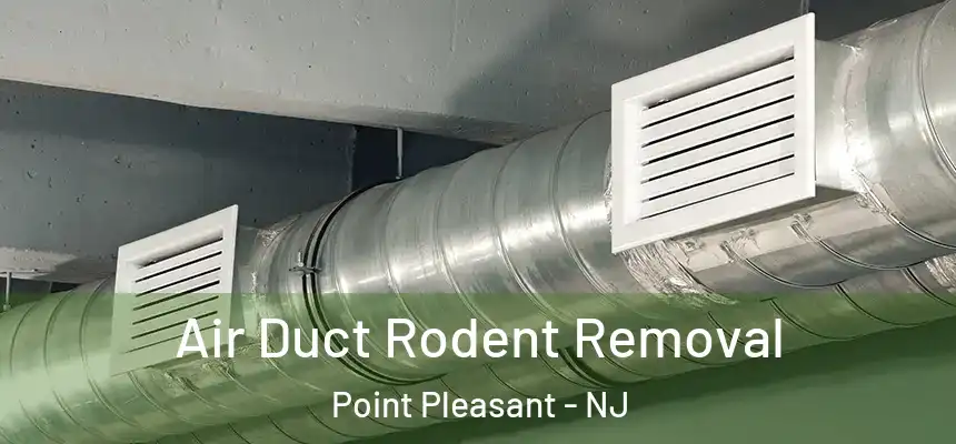  Air Duct Rodent Removal Point Pleasant - NJ
