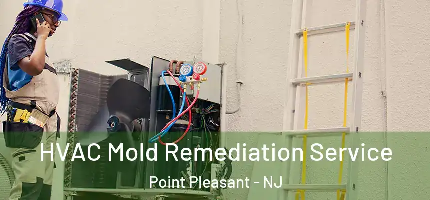  HVAC Mold Remediation Service Point Pleasant - NJ