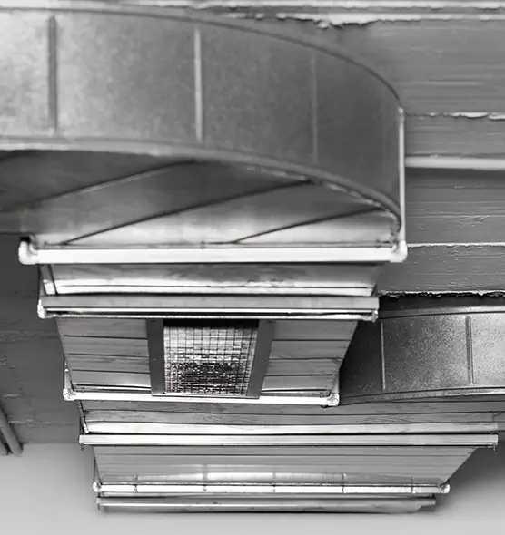 Professional Air Duct Pet Hair Removal in Point Pleasant, NJ