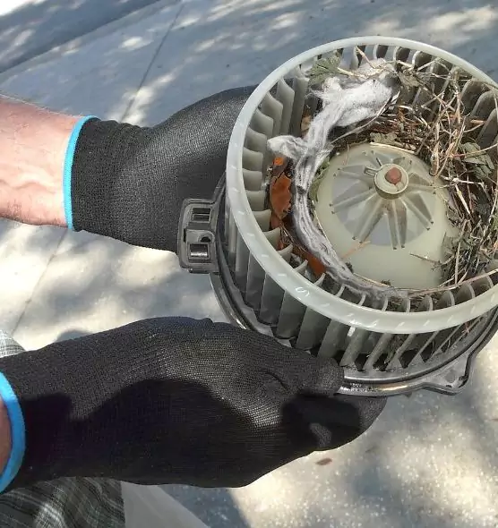 About Air Duct Rat Removal in Point Pleasant, NJ